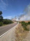Foto 2 - Extinguido un incendio en el cruce del municipio de Pinedas