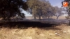 Foto 2 - Sofocado un pequeño incendio en una parcela en Canillas de Abajo
