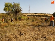 Foto 5 - Una jornada de Voluntariado Medioambiental logra rescatar del olvido la Fuente de La Noguera
