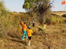 Foto 4 - Una jornada de Voluntariado Medioambiental logra rescatar del olvido la Fuente de La Noguera