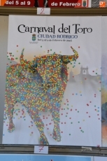 Foto 6 - La ‘Explosión de vida’ del conquense Samuel González anunciará el Carnaval 2016