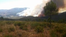 Foto 5 - El pavoroso incendio de la localidad cacereña de Acebo se acerca a El Payo