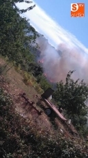 Foto 5 - El incendio forestal de Cepeda, probablemente intencionado
