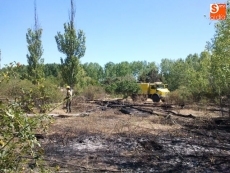 Foto 5 - Extinguido un incendio que se acercó a las casas de Pelabravo