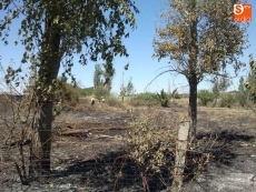 Foto 3 - Extinguido un incendio que se acercó a las casas de Pelabravo