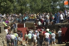 Foto 3 - Más de 3.000 personas presencian el encierro a caballo, del cual se escapó una vaca