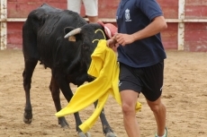 Foto 5 - La Guardia Civil ordena sedar a un toro fugado en el encierro campero de Cantalpino