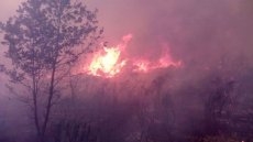 Foto 5 - El incendio de Bermellar ya no amenaza a la población y se reduce el riesgo a nivel 1