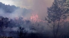 Foto 3 - El incendio de Bermellar ya no amenaza a la población y se reduce el riesgo a nivel 1