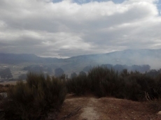 Foto 5 - Controlado el incendio de la Dehesa, el sexto en Montemayor en dos semanas