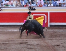 Foto 4 - Del Álamo, única oreja con el mejor toro de El Puerto en Bilbao