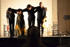 Foto 3 - Rita Clara viste de flamenco la noche con un gran espectáculo