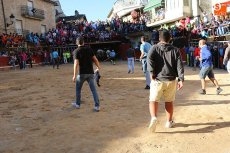 Foto 5 - Los novillos de Ignacio López-Chaves llegan de dos en dos en un encierro sin más incidentes
