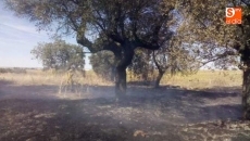 Foto 6 - Sofocado un pequeño incendio en una parcela en Canillas de Abajo