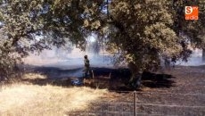 Foto 5 - Sofocado un pequeño incendio en una parcela en Canillas de Abajo