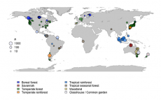 El Irnasa participa en un gran estudio mundial sobre biomasa forestal