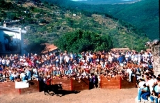 San Martín del Castañar