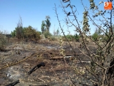 Extinguido un incendio que se acerc&oacute; a las casas de Pelabravo