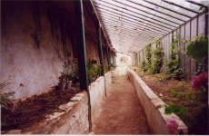 Denuncian la situación de ruina del invernadero de El Bosque