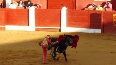 Tranquilidad y destellos de calidad protagonizan la novillada en Macotera