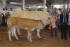 'Cantabria', campeona en vacas