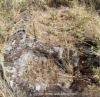 Foto 1 - Hallan un nuevo lagar rupestre en las cercanías de la localidad