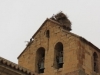 Foto 2 - El fuerte viento derriba el nido de cigüeñas que permanecía en la espadaña de la iglesia