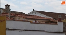 Foto 4 - Un buitre, nuevo vecino de las Casas de Martín Báez