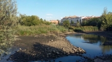 Foto 3 - El PSOE exige el adecentamiento de las riberas del Tormes en la zona de la Pesquera