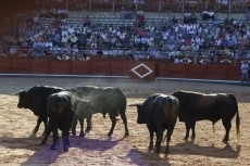Foto 4 - Garcigrande, aplaudida en el desenjaule, y pitos para los toros de El Puerto de San Lorenzo