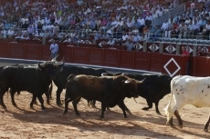 Foto 3 - Garcigrande, aplaudida en el desenjaule, y pitos para los toros de El Puerto de San Lorenzo