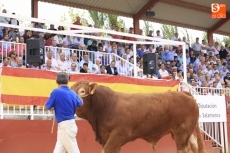 Foto 6 - Más de 433.000 euros en la subasta nacional de ganado bovino 