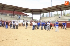 Foto 5 - Más de 433.000 euros en la subasta nacional de ganado bovino 