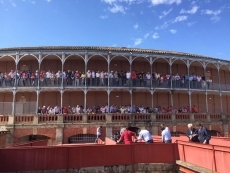 Foto 3 - Los toros de El Puerto esperan a Morante, Manzanares y Ureña