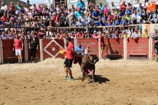 Foto 3 - Las peñas animan un emocionante primer encierro con reses de Rollanejo