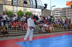 Foto 5 - Campeones de España y de la Comunidad participan en la jornada Judo en la Calle