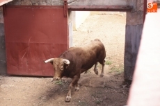 Foto 6 - Sorteados los toros para Pablo Hermoso, Castella y Juan del Álamo