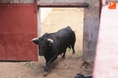 Foto 3 - Sorteados los toros para Pablo Hermoso, Castella y Juan del Álamo