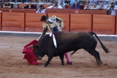 Foto 4 - Otra oreja para un soberbio Del Álamo que sale en hombros junto a Castella