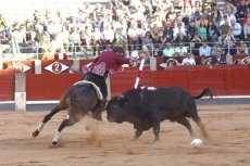 Foto 5 - Otra oreja para un soberbio Del Álamo que sale en hombros junto a Castella