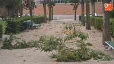 Foto 3 - El fuerte viento provoca en Peñaranda cuantiosos destrozos en las zonas verdes