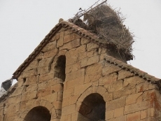 Foto 4 - El fuerte viento derriba el nido de cigüeñas que permanecía en la espadaña de la iglesia