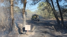 Foto 6 - Los bomberos controlan con rapidez un incendio en el término municipal de El Tejado