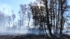 Foto 5 - Los bomberos controlan con rapidez un incendio en el término municipal de El Tejado