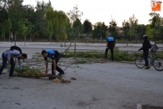 Foto 3 - Cae un árbol de grandes dimensiones sobre el primer parking de La Pesquera