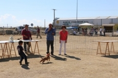 Foto 4 - La I Feria Canina cumple las expectativas de la organización en cuanto a afluencia de público