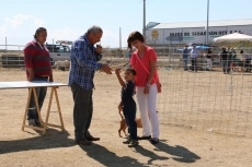 Foto 3 - La I Feria Canina cumple las expectativas de la organización en cuanto a afluencia de público