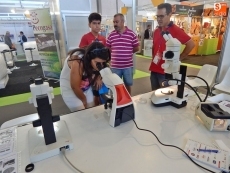 La labor de custodiar las semillas de especies en peligro de extinción