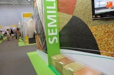 Campal continúa su expansión con la producción de semillas certificadas 