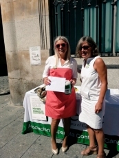 La cara solidaria de las Ferias, los 400 voluntarios de la cuestaci&oacute;n de la aecc